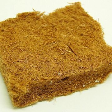 Fibre